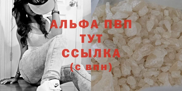 амф Верея